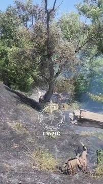 ���������� ���� ������� ���������� � ���������� � ������ �������� ���������� �� ����� ������� ������
