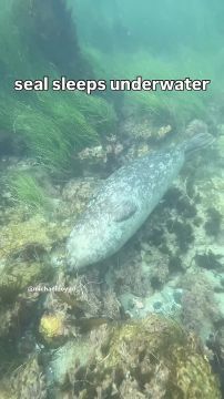 ������ ������� ��� ����� ��� ������, ����� ����