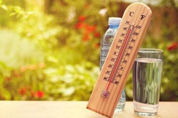 �� +38�� � ���� 29 � 30 ���� ������������ �������������