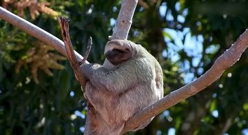 � ��� ������ ������ ��� ������� ��������� ����? ������? ������?� ���������� ����������� � ������������� ���������������: