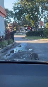 �� ������� �������� ���� ��������� ���� ����� ������� �� ��������