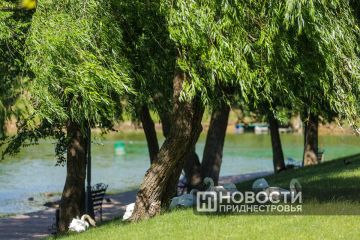 Следующая неделя начнется без осадков и с комфортной температурой — Гидрометцентр