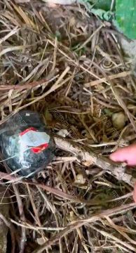 Бизнес свернули оперативники