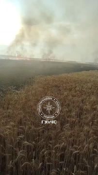 За минувшие сутки пожарные республики 5 раз выезжали на ликвидацию возгораний сухой травы