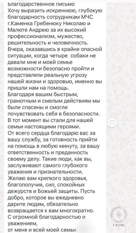 Благодарность спасателям. Поздним вечером 2 июля несколько агрессивных собак на улице Первомайской не давали прохода женщине, которая была с ребёнком и матерью