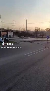 ���� ��������, ������, ������ ������ ��������