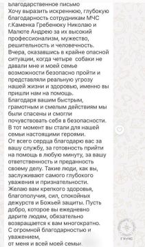 Благодарность спасателям. В Каменке поздним вечером 2 июля на улице Первомайской несколько агрессивных собак не давали пройти женщине, которая была с ребёнком и матерью