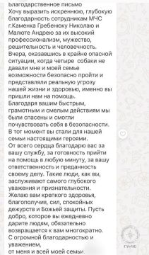 Благодарность спасателям. Поздним вечером 2 июля несколько агрессивных собак на улице Первомайской не давали прохода женщине, которая была с ребёнком и матерью