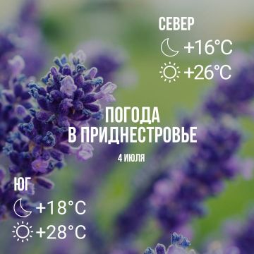Днём – до +28°С, местами дождь