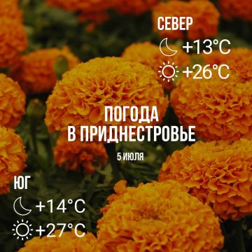 Днём – до +27°С, без осадков