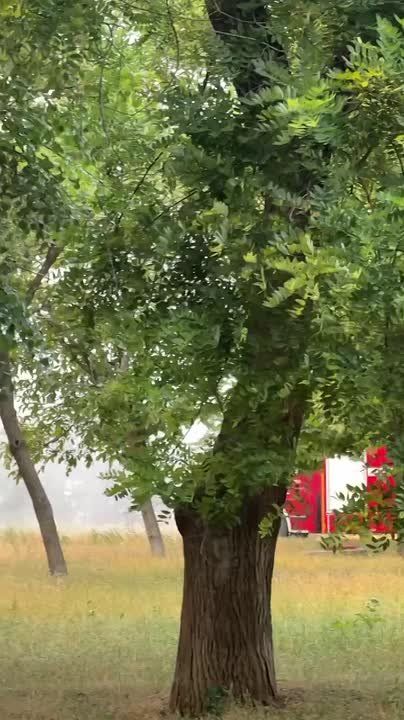 Пожарные команды работают в дыму