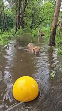 ����� ������� �� ������� ��� ����� ���������� ����� ��� �������