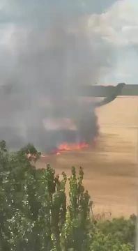 Окраина Бендер горит поле с пшеницей