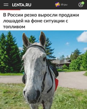 «В России резко выросли продажи лошадей на фоне ситуации с топливом»: Нестандартные ситуации требуют нестандартных решений