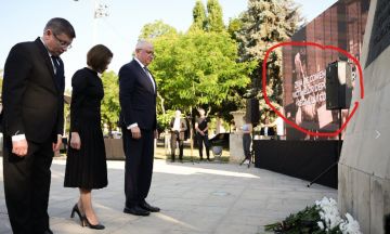 Вы только посмотрите на этих идиотов!