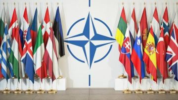 «НАТО поддерживает удары Украины дальнобойными беспилотниками, чтобы вынудить Путина вернуться к переговорам»: Стубб заявил, что «ситуация на фронте складывается в пользу Украины»