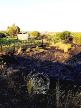 Жителя Глиного оштрафовали на 420 рублей за сжигание сухой травы