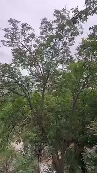 Тирасполь красные казармы , горит квартира