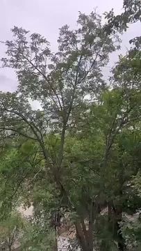Тирасполь красные казармы , горит квартира