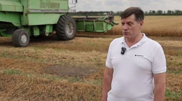 В этом году урожай зерновых в Приднестровье должен стать рекордным