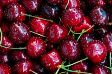 Врачи назвали продукты, которые нельзя есть аллергикам летом: