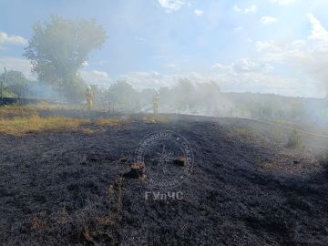 В Рыбницком районе выгорели 4,5 гектара сухой травы