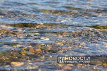 Днестр в июне: на отдельных участках — критически низкий уровень воды