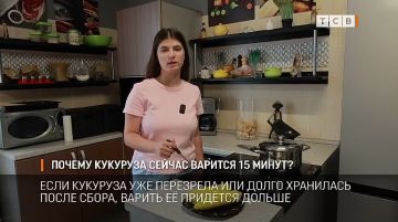 В Тиктоке набирает популярность вопрос: почему раньше кукурузу варили по два часа, а сегодня хватает 15 минут? На заводе консервов детского питания нам дали ответ: сейчас продают в основном гибридные сладкие и супер-сладкие...