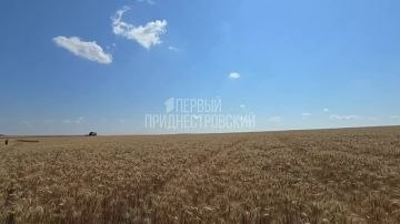 В каменском колхозе «Путь Ленина» началась страда