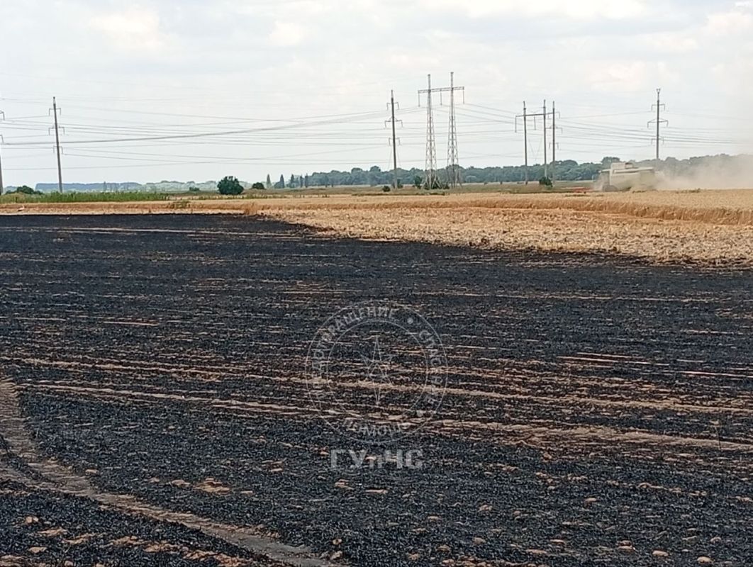 50 гектаров пшеницы выгорели в Незавертайловке