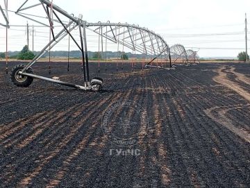 50 гектаров пшеницы сгорело возле Незавертайловки