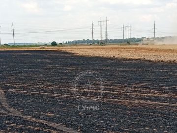 Пожар локализован. Выгорело около 50 гектаров пшеницы