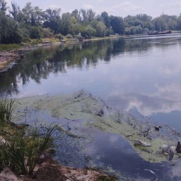 На Днестре сохраняется критически низкий уровень воды