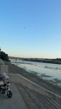 Днестр обмелел и покрылся водорослями, пишут жители Рыбницы с городской набережной