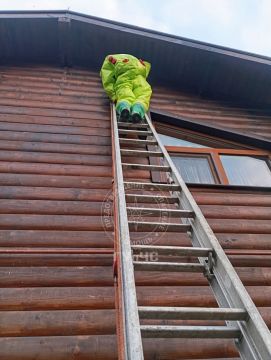 В Рыбницком районе спасатели ликвидировали гнездо шершней