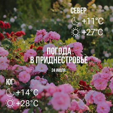 Днём – до +28°С, местами дождь