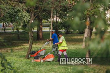 ������� ������ ����������� ������������� ���������� �������� �������� �� ���������������