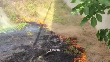 В столице у автосервиса по улице Бендерской огнеборцы сегодня тушили сухую траву