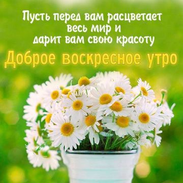 26 июля - мало хотеть чего-то, нужно делать