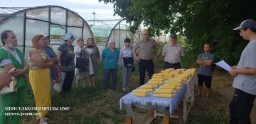 В ГУП «Приднестровский научно-исследовательский институт сельского хозяйства» представили результаты исследований в области селекции и защиты растений