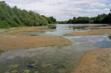 Период маловодности Днестра продолжается