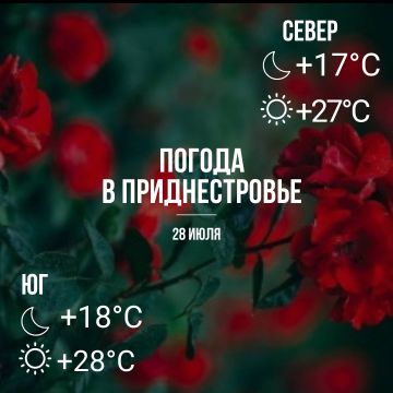 ���� � ���������� ����������, ��� �������, �� +28