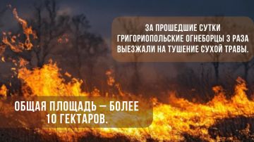 � ���������������� ������ �������� ����� 10 �������� ��������