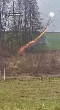 ����� ������ ������� �����