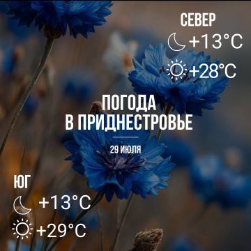 ���� � ���������� ����������, ��� �������, �� +29