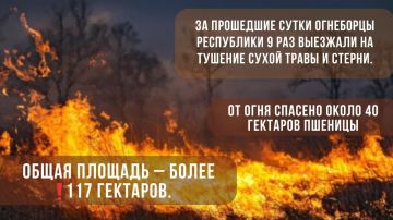 Около 40 гектаров пшеницы спасли пожарные от огня за сутки