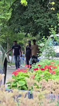 ������ �������� ������������ ����� � ���������� �� �����, ������ � ���������, ������� ����� � ��������� ��������� �������