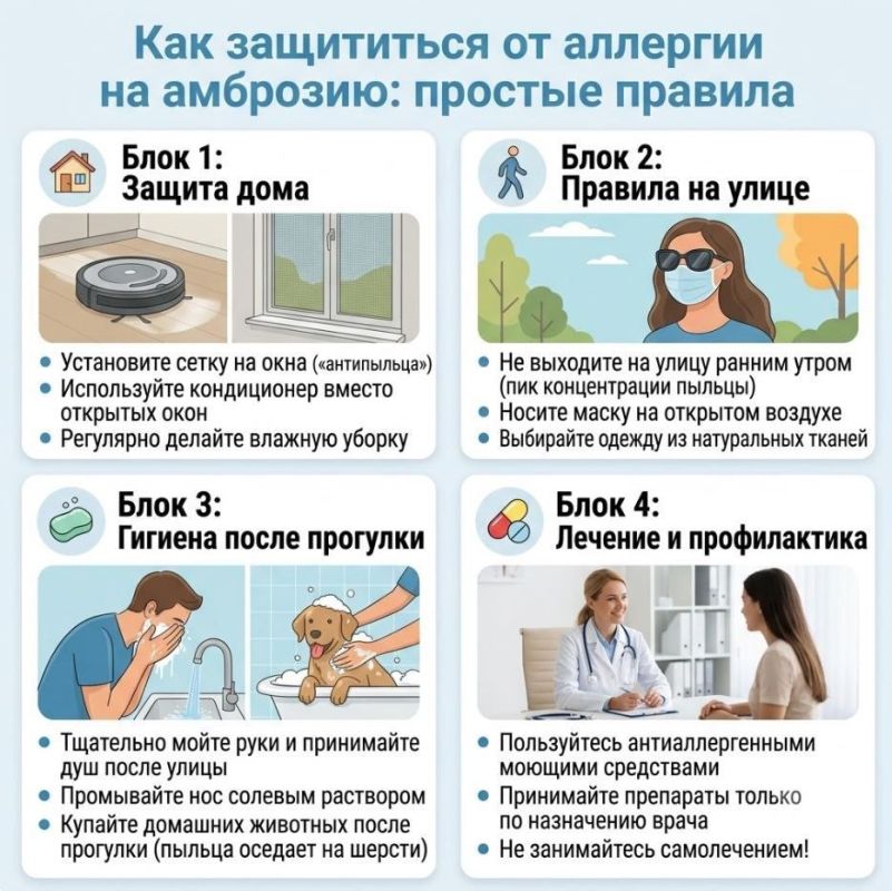 Осторожно, амброзия!. С середины июля и до октября в Приднестровье цветёт амброзия — один из самых сильных аллергенов