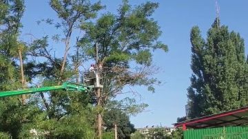 ������������� � ��������� ������� ������� ���� � ����� �����: ����� ����� ����� �� ��������