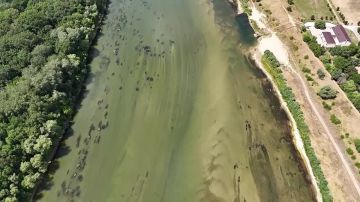 � ������ �����, ��������� ������� ������: ����� ��������, ��������� �������� ������ � ����, � ������� ��� ��������������� ������ ����